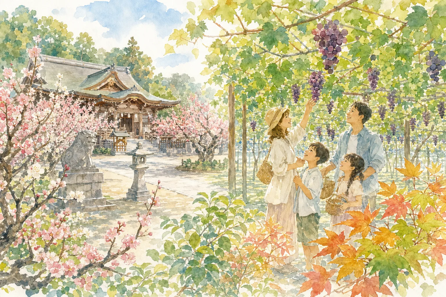 2026年 寿々園グレープガーデン(ぶどう狩り)の味覚狩り 1日満喫コース