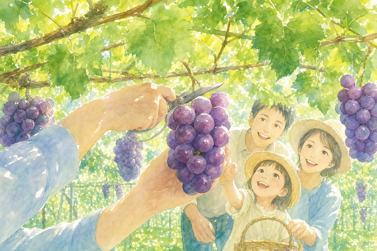 2026年 よこせ梨園(ぶどう狩り)の味覚狩り 1日満喫コース