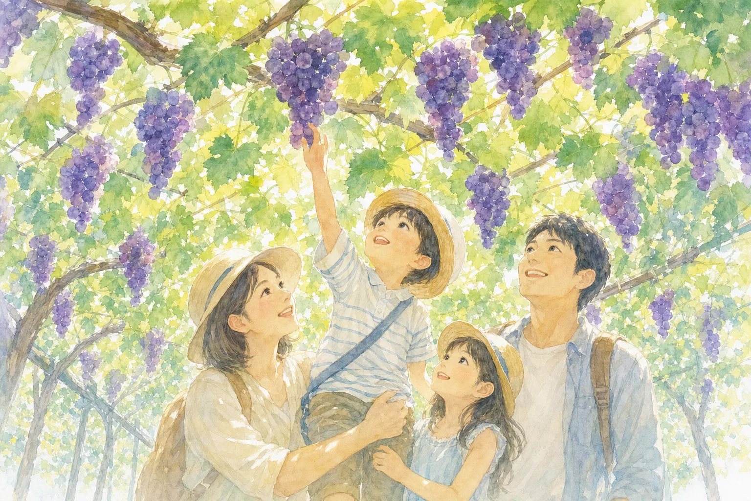 2026年 保谷農園(ぶどう狩り)の味覚狩り 1日満喫コース